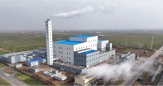 1762745701204765.jpg 640 - 2025-11-10T113452.630.jpg