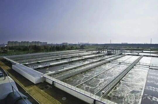 1770693125617948.jpg 640 - 2026-02-10T103811.413.jpg